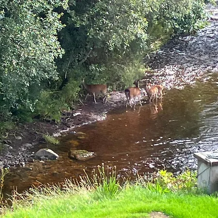 Remarkable 4 Bed House In Town *